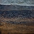 Wildlife Iceland | Guided Iceland Circle