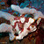 Frogfish - Philippines Travel