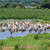 Tanzania Wildlife Breakaway Tanzania Wildlife Breakaway
