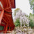 Japan for Two Japan for Two