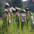 Discover Laos: North to South Discover Laos: North to South