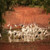 5 Day Kakadu, Arnhem Land and Cobourg Peninsula Tour 5 Day Kakadu, Arnhem Land and Cobourg Peninsula Tour