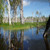 Ramsar Wetland | 5 Day Kakadu, Arnhem Land and Cobourg Peninsula Tour