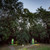 Gorongosa Flying Camp