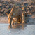 Experience Ghoha Hills and Nogatsaa Pans, Botswana Experience Ghoha Hills and Nogatsaa Pans, Botswana