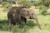 Tanzania Active Adventure Experience Safaris Tanzania Active Adventure Experience Safaris