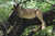 Tanzania Active Adventure Experience Safaris Tanzania Active Adventure Experience Safaris