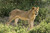 Tanzania Active Adventure Experience Safaris Tanzania Active Adventure Experience Safaris