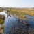 Mokoro Trip in Okavango Delta
