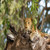 Victoria Falls, Chobe, and Okavango Delta Expedition Victoria Falls, Chobe, and Okavango Delta Expedition