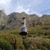 14-Day South Africa Discovery Tour: Cape Town, Garden Route & Big Five Safari 14-Day South Africa Discovery Tour: Cape Town, Garden Route & Big Five Safari
