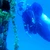 Scuba diver alongside a coral-encrusted descent line on a Visayas Safari dive, Philippines