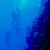 Two scuba divers descending a steep coral wall into deep blue water, Visayas, Philippines