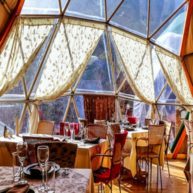 Dome - Chile Travel | Patagonia Puma Tracking, Chile