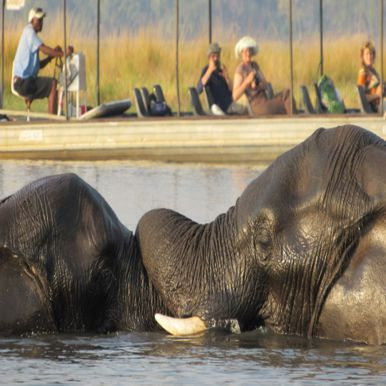 Botswana Chobe National Park