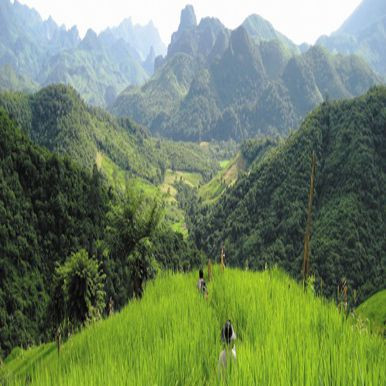 Vieng Phouka - Laos Travel