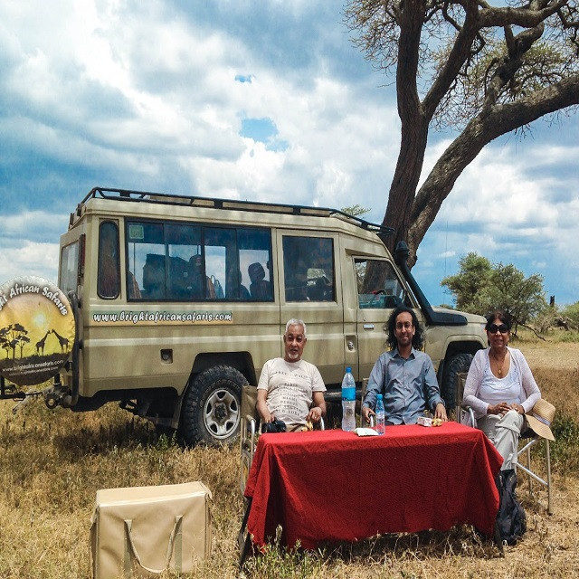 Bright Vehicle with Clients Relaxing, Tanzania