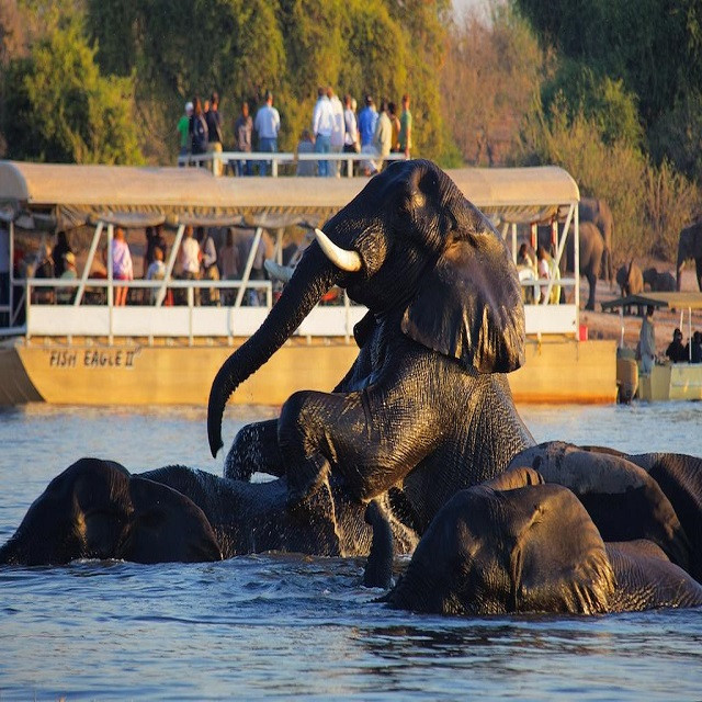 Boat Cruise on Chobe River, Botswana