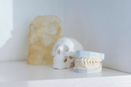 Bone Preservation Is Reshaping How Clinicians Approach the Osteotomy