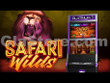 Safari Wilds Safari Wilds