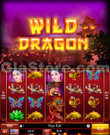 Wild Dragon