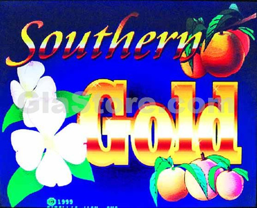 Southern Gold Title Screen Southern Gold Title Screen