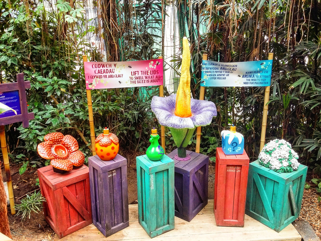 New AromaPrime Display in Rainforest Attraction