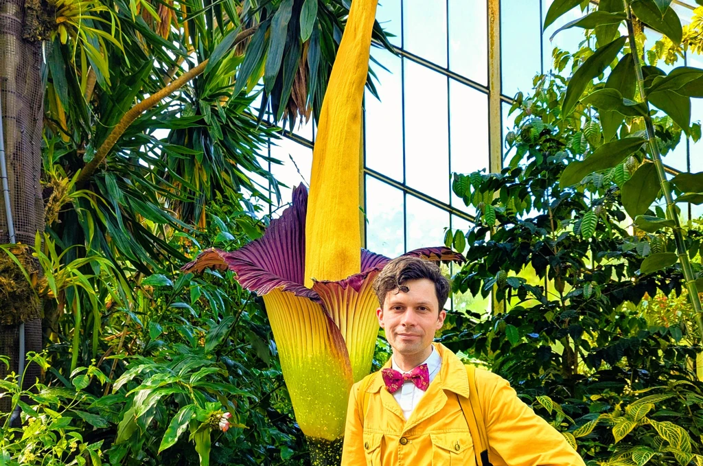 A Rare Sniff of the Corpse Flower (Titan Arum)