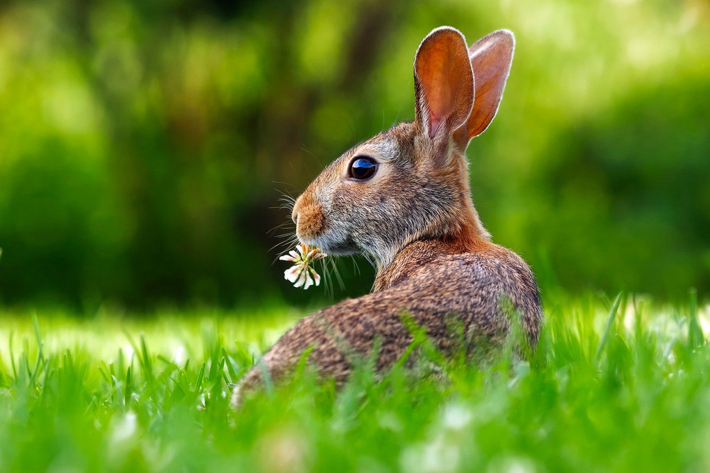 Will You Get Smelly This Springtime?