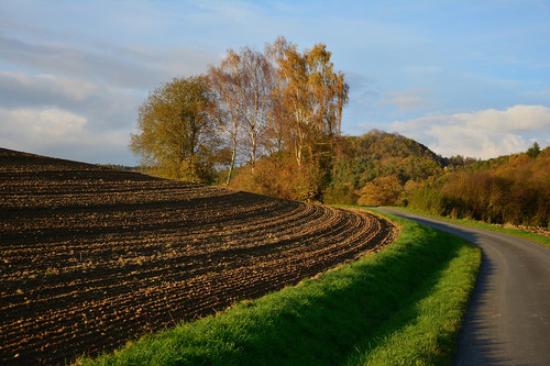 The green and muddy aroma of the outdoors and the countryside.