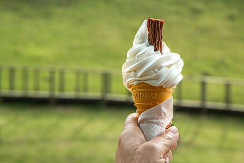 Sweet and creamy, a perfect vanilla dessert.