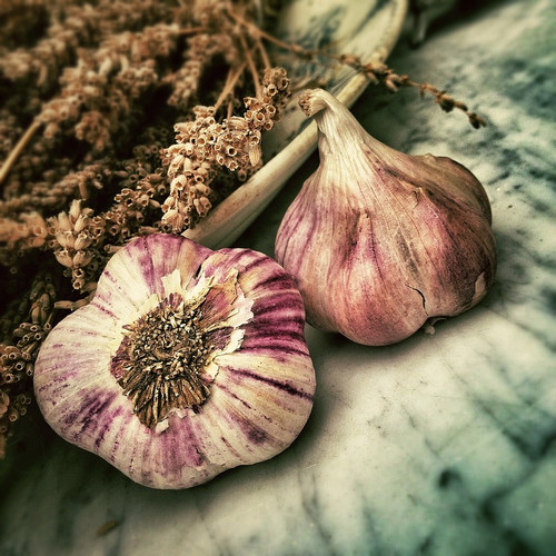 This is one of our strongest aromas; a small amount creates the distinctive scent of Italian cooking.