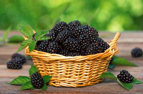 The aroma of blackberry jam, freshly made from the harvest. This scent suggests the countryside and sweetness.