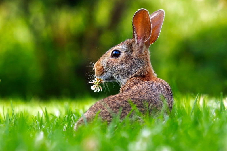 Will You Get Smelly This Springtime?