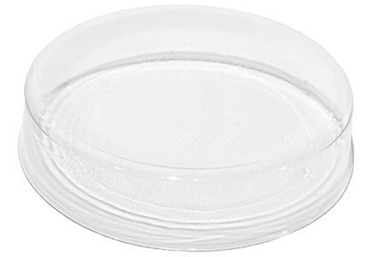 1/4" x 1/4" Clear Cap