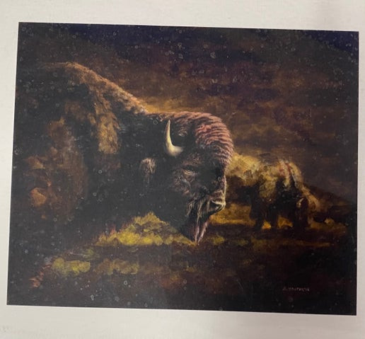 Small Buffalo