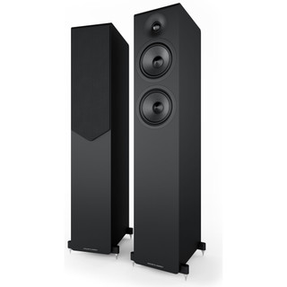 Acoustic Energy AE309 MK2 Floorstanding Speakers Black (Pair) — angled hero view