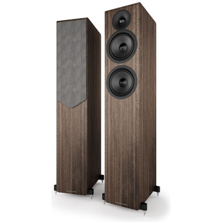 Acoustic Energy AE309 MK2 Floorstanding Speakers Walnut (Pair) — angled hero view