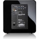 SVS SB-2000 Pro Subwoofer Gloss Black — rear panel