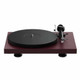 Pro-Ject Debut Carbon EVO 2 Turntable Gloss Red