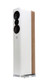 Q Acoustics Concept 500 single speaker in Gloss White & Light Oak — three-quarter front view showing drivers and Light Oak side panel