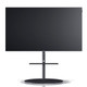 Loewe Bild i 48 OLED Television — front view (floor stand)