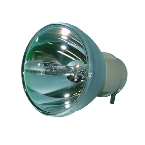 E20.9n 330W-370W 0.8 AC Bare Projector Lamp - Replaces 69555 - 90 Day Warranty