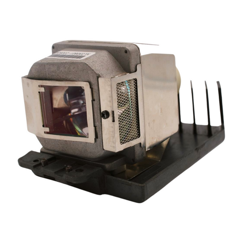 Work-Big-IN2102 replacement lamp