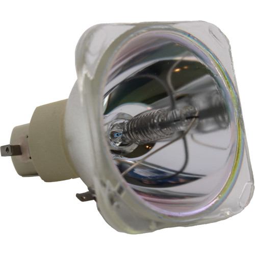 LS-1 Bulb