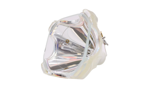PROC3 Bulb
