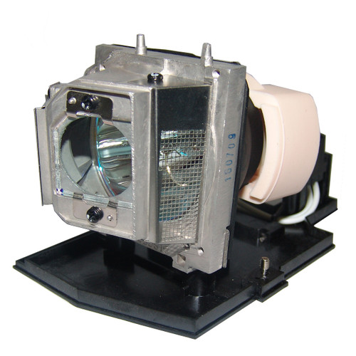 P1101 replacement lamp
