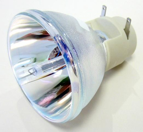 69805 Bulb