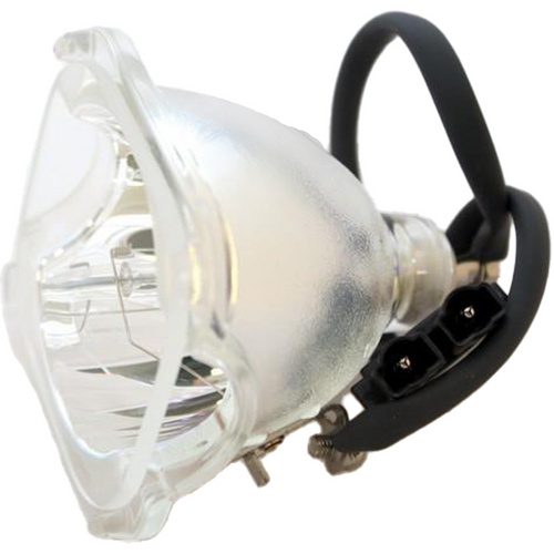 52SX4D Bulb