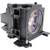 LKX62W-LAMP
